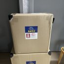 주연 | [웨딩촬영 소품] 주연하다 - 웨딩풍선, 달력풍선 촬영후기🎈