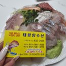 노량진수산시장횟집 [[태평양수산]]에서 제철회 제대로 즐기고 온 후기 🐟
