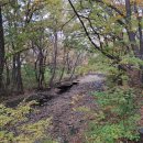 옥산천 | 유네스코 세계문화유산, 한국의 서원, 경주 옥산서원, 방문 후기.