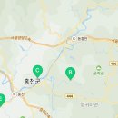 행복한숲 Happy forest 이미지