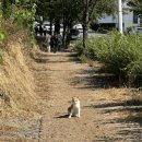 레코드코인노래연습장 이미지