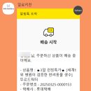 반려견 강아지 야채 음수량 늘리기 자연식품 알로키친 디톡스 옐로우