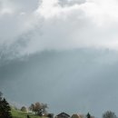 플로라민박 이미지