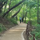 사.코 이미지