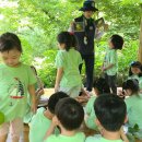 7월 25일(구립둔촌숲속 어린이집, 성내삼성 어린이집, 은새 유치원) 이미지