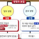 악인들을 갈라내어 풀무 불에 던져 넣으리니-율법 아래 있는 이 땅에 남는 자 죄의 권능은 율법. 마태복음 13장 49절-50절 이미지