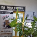 용인대 범 유도클럽 이미지