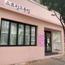 스프링그루밍 | (내돈내산 후기) 강서구 화곡 애견미용 말티푸미용추천 스프링그루밍 베넷미용후기