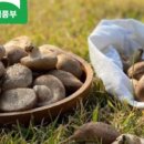 더 해담은 이미지