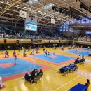 명품태권도 이미지