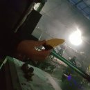 농촌지 낚시터 | 안성 농촌지하우스낚시터 후기