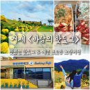 핫 dog | 거제 바람의핫도그 거제본점 노랑버덩 예쁜 포토존 거제데이트코스