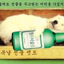 복 - 서구 대영로 37 | 복