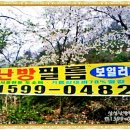 삼성지낚시터 이미지