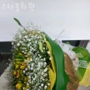 스타꽃화원
