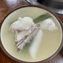오리떼닭한마리 이미지