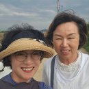 영펫