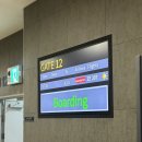 아침바다마트 | [제주] 2026 제주도 2박 3일 여름 바다여행(1): 이것저것 다 하고팠던 하루 (ft. 소노벨 제주 후기)