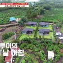 대흘민박 이미지