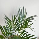 플로리다정원 이미지