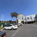 흑돼지 돌판구이전문점 번돈 | 제주도 중문 맛집 연예인들도 좋아하는 흑돼지 찐 후기 방출