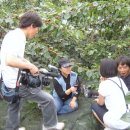 태양농장 이미지