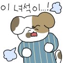 스코비 이미지