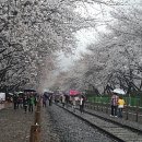 세림목욕탕