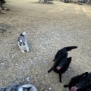 귀래630펜션 이미지