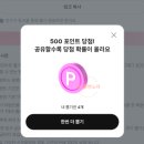 포인
