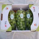 럭키농장 이미지