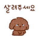전주본가영양돌솥밥 이미지