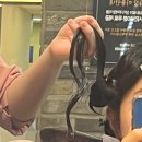 감춘헤어살롱 | [군포] 레이어드 컷 S 컬 산본미용실<감춘 헤어살롱>이서 디자이너
