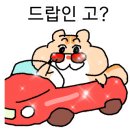 크로스핏 타우너 이미지