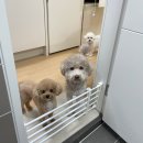 견생묭실 이미지