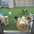 아우어독 이미지