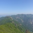 셀파산장 네이버블로그