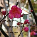 법무사강성준사무소 이미지