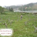 자연농원 이미지