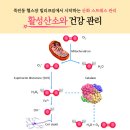 커뮤니티센터(4F) | 활성산소와 건강 관리: 용인 죽전동 헬스장 빌리프짐에서 시작하는 산화 스트레스 관리