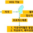 광주미래와희망산부인과의원 네이버블로그