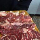 강릉뒷고기 | 강릉 포남동 본가뒷고기 후기 – 특수부위모듬한판 10kg 한정, 예약 필수인 이유 강릉뒷고기맛집