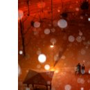 사랑의 노래 이미지