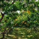 형준농장 이미지