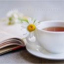 그대그리고나 이미지