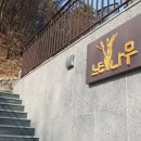 두미원 느티나무