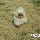 별이 이미지