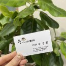 셰프문경희 이미지