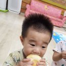 새꿈담는우리어린이집