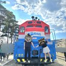 마산종합운동장 배드민턴장 | [창원/진해] 진해 군항제 벚꽃 축제 명소 2026 축제 정보 교통편 추천 후기